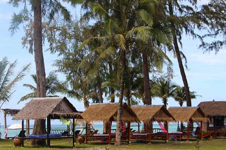 Beachfront Property Tropical Palm Trees - ThaiLife Beach House Khao Lak