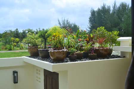Residential Property Garden Plants Exterior - ThaiLife Beach House Khao Lak