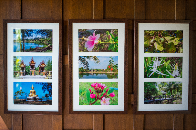 Resort Wall Art Nature And Culture - ThaiLife Beach House Khao Lak