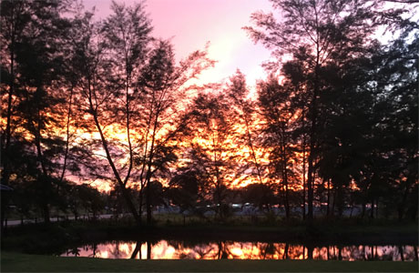 Sunset View Lake Property Trees - ThaiLife Beach House Khao Lak