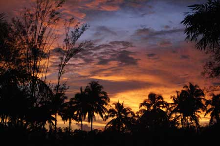 Tropical Sunset Property View Silhouette - ThaiLife Beach House Khao Lak