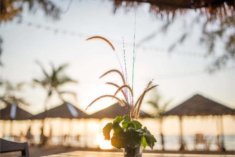 Beachfront Restaurant Table Sunset View - ThaiLife Meditation & Wellness Resort
