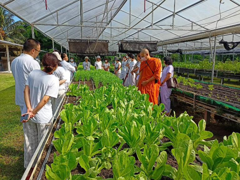 Guests Tour Organic Farm Resort B4 - ThaiLife Meditation & Wellness Resort