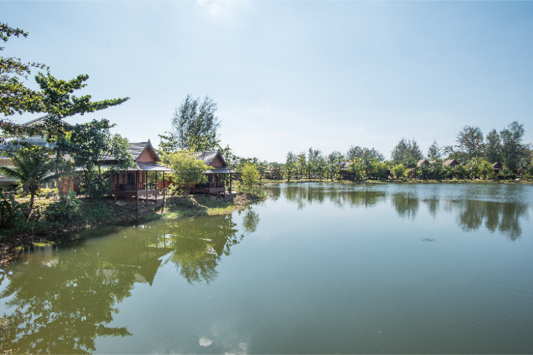 Resort Lake View Wooden Cottages B4 - ThaiLife Meditation & Wellness Resort