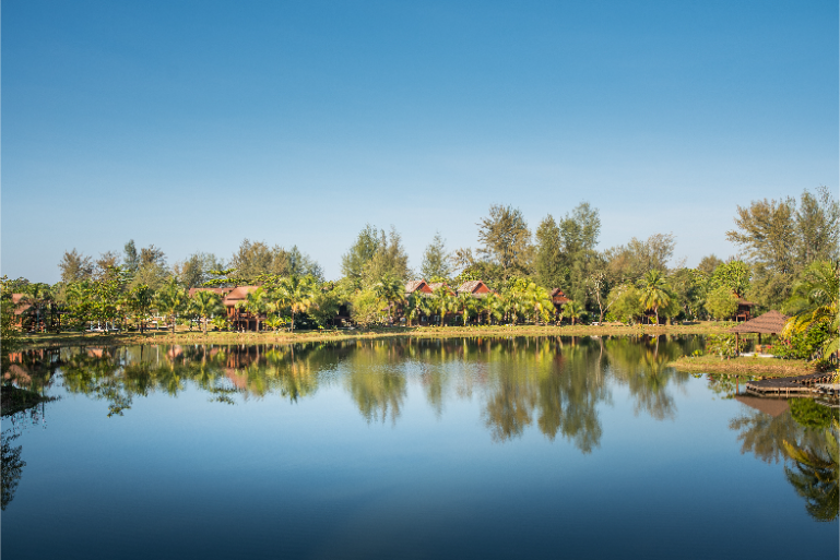Resort Peaceful Lagoon Morning View B4 - ThaiLife Meditation & Wellness Resort