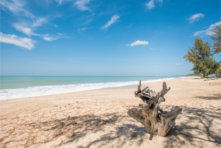 Resort Private Beach Ocean View