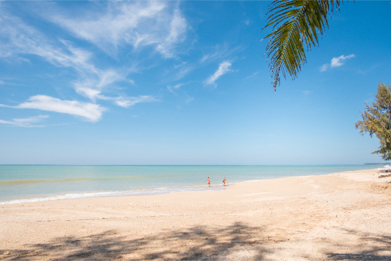 Tropical Beachfront Resort Peaceful Ocean View - ThaiLife Meditation & Wellness Resort